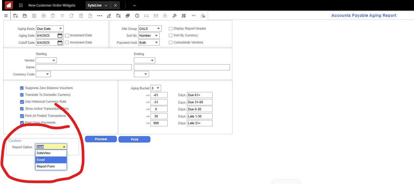 Accounts Payable Aging Report with Dataview and Excel output