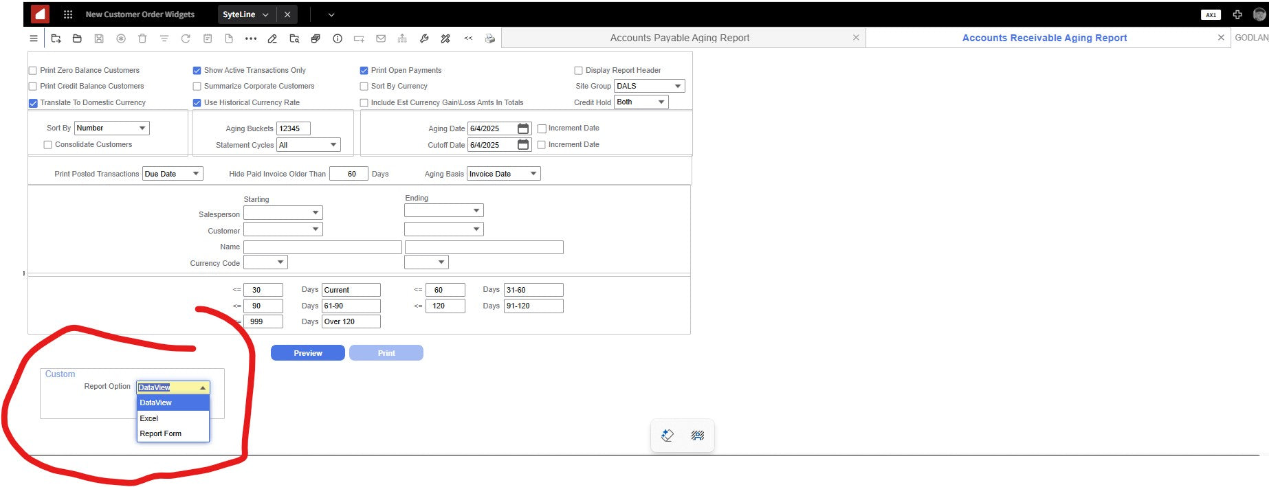Accounts Receivable Aging Report with Dataview  or Excel output