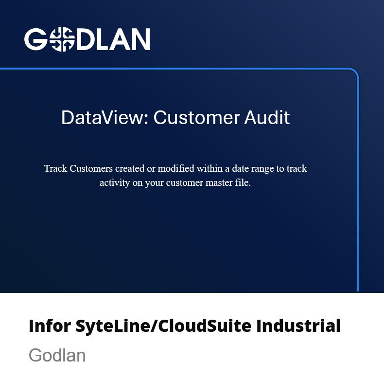 DataView: Customer Audit