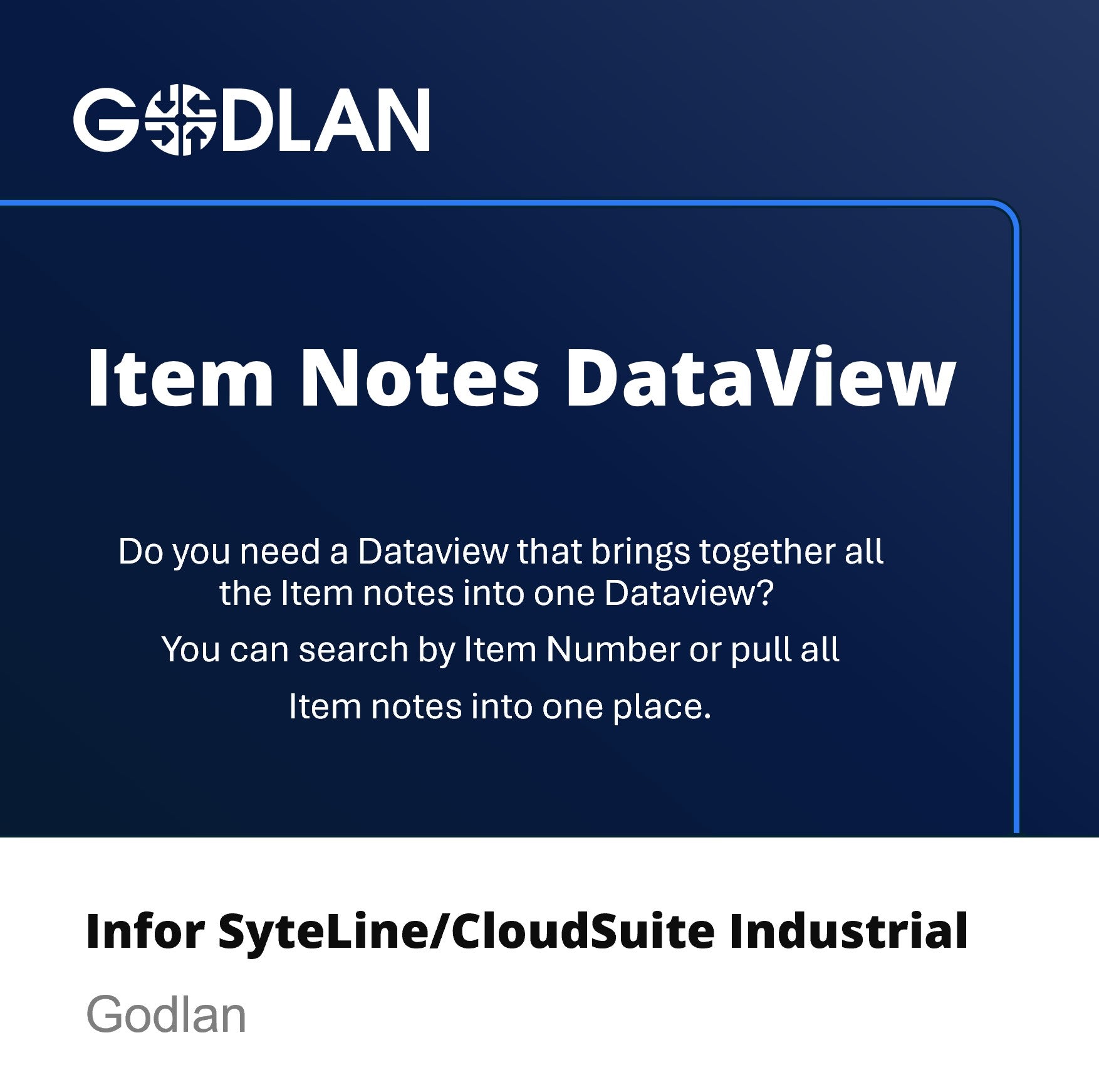 DataView: Item Notes